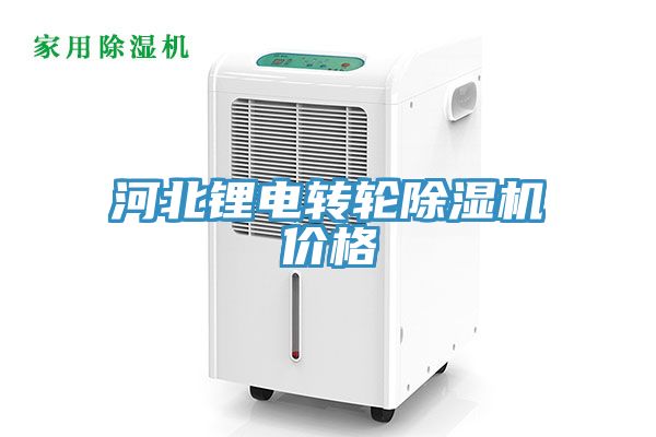 河北鋰電轉輪草莓污视频在线看價格