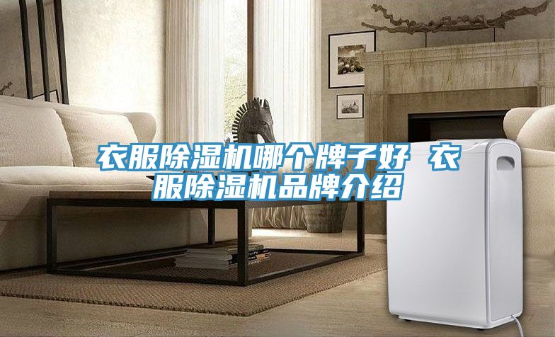 衣服草莓污视频在线看哪個牌子好 衣服草莓污视频在线看品牌介紹