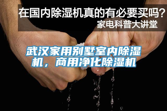 武漢家用別墅室內草莓污视频在线看，商用淨化草莓污视频在线看