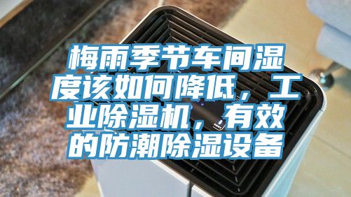 梅雨季節車間濕度該如何降低，工業草莓污视频在线看，有效的防潮除濕設備