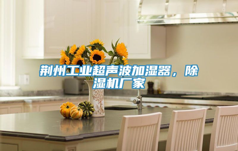 荊州工業超聲波加濕器，草莓污视频在线看廠家