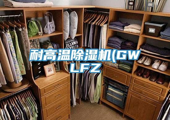 耐高溫草莓污视频在线看(GWLFZ