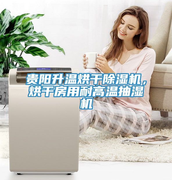 貴陽升溫烘幹草莓污视频在线看，烘幹房用耐高溫抽濕機