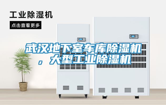 武漢地下室車庫草莓污视频在线看，大型工業草莓污视频在线看