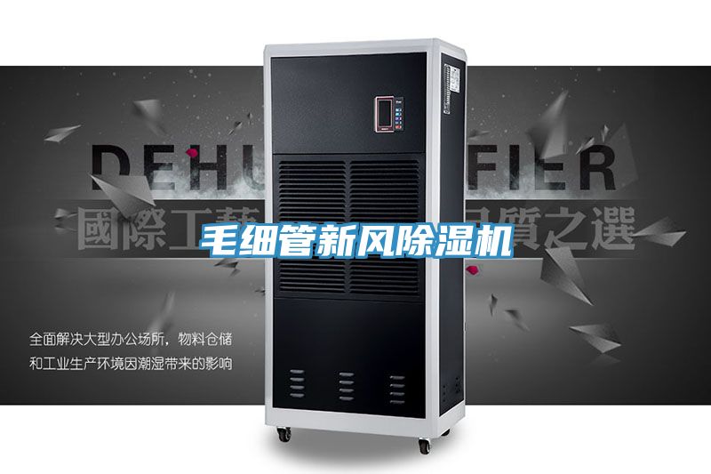 毛細管新風草莓污视频在线看