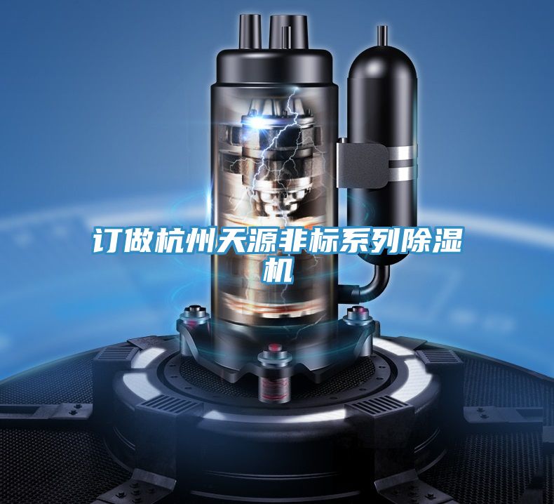 訂做杭州天源非標係列草莓污视频在线看