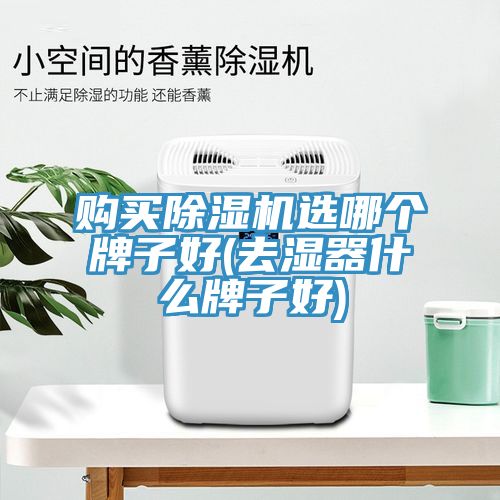 購買草莓污视频在线看選哪個牌子好(去濕器什麽牌子好)