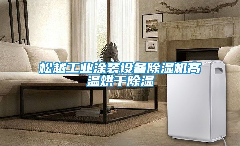 鬆越工業塗裝設備草莓污视频在线看高溫烘幹除濕