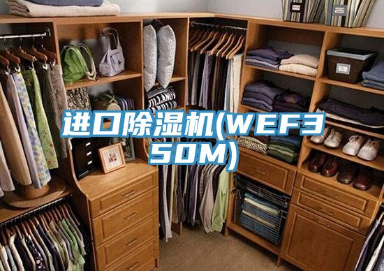 進口草莓污视频在线看(WEF350M)