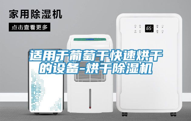 適用於葡萄幹快速烘幹的設備-烘幹草莓污视频在线看