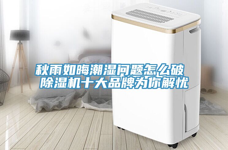 秋雨如晦潮濕問題怎麽破 草莓污视频在线看十大品牌為你解憂