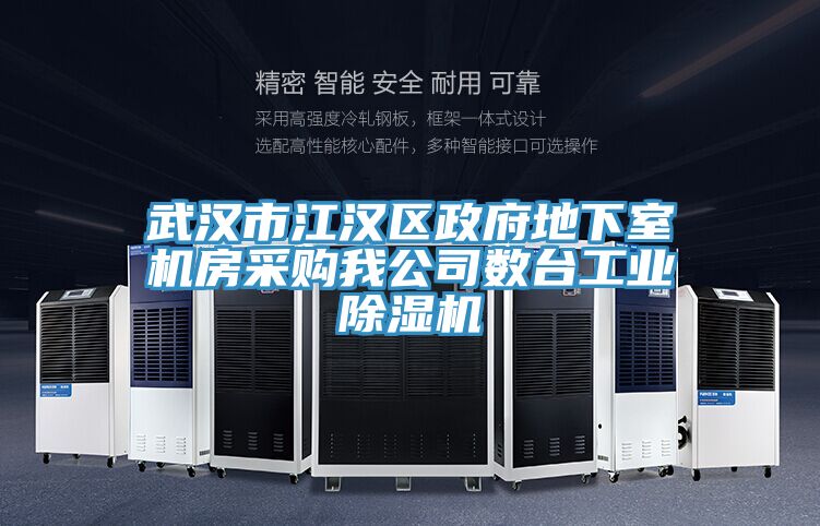 武漢市江漢區政府地下室機房采購我公司數台工業草莓污视频在线看
