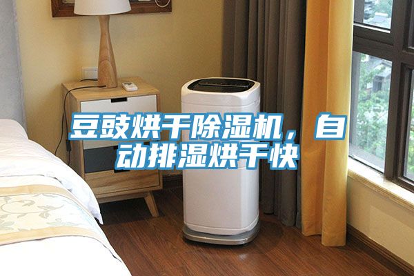 豆豉烘幹草莓污视频在线看，自動排濕烘幹快