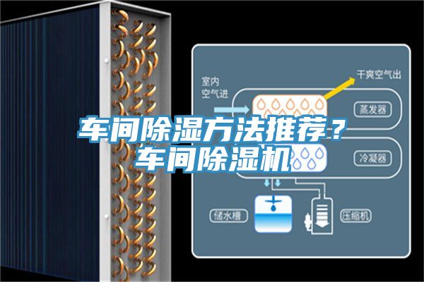 車間除濕方法推薦？車間草莓污视频在线看