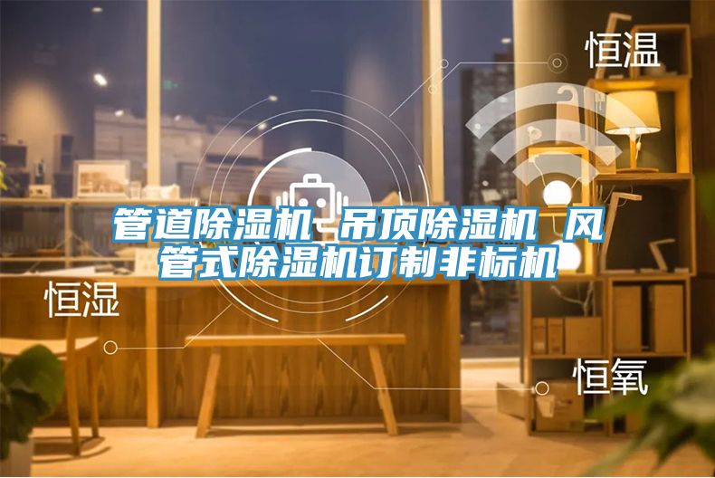 管道草莓污视频在线看 吊頂草莓污视频在线看 風管式草莓污视频在线看訂製非標機