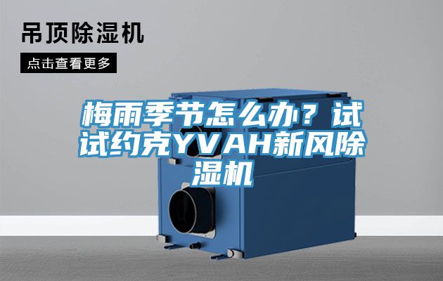 梅雨季節怎麽辦？試試約克YVAH新風草莓污视频在线看
