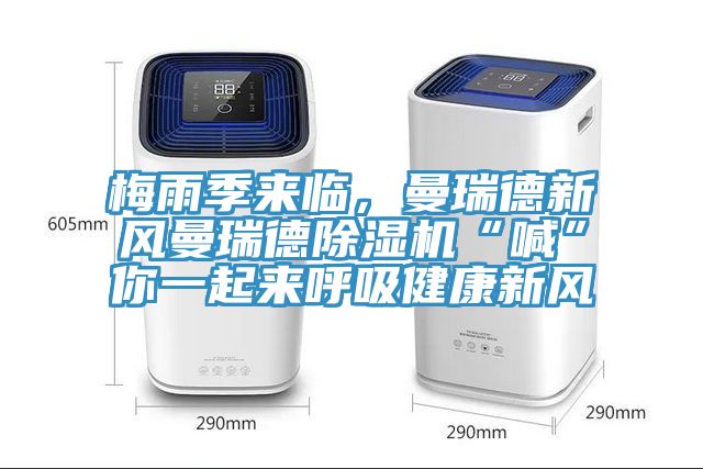 梅雨季來臨，曼瑞德新風曼瑞德草莓污视频在线看“喊”你一起來呼吸健康新風