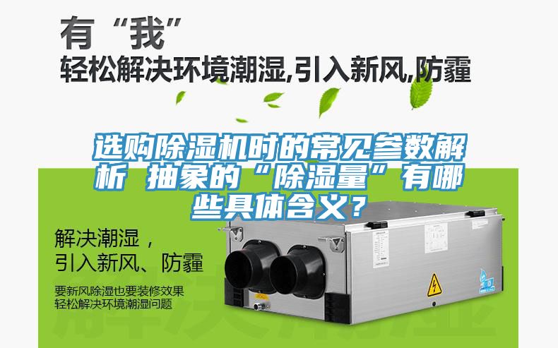 選購草莓污视频在线看時的常見參數解析 抽象的“除濕量”有哪些具體含義？