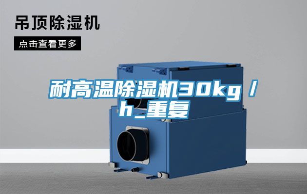 耐高溫草莓污视频在线看30kg／h_重複