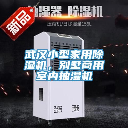 武漢小型家用草莓污视频在线看，別墅商用室內抽濕機