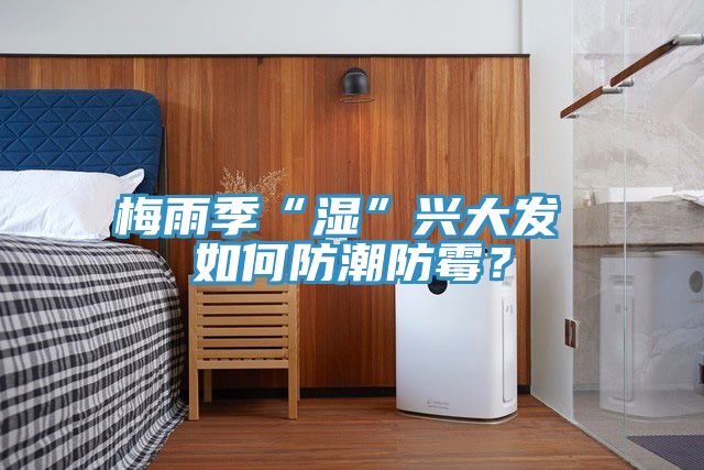 梅雨季“濕”興大發 如何防潮防黴？