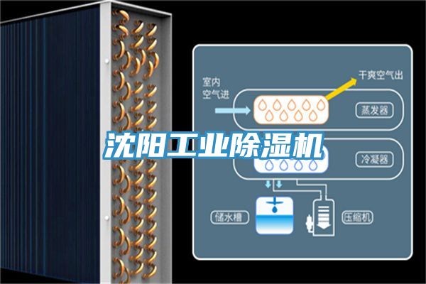 沈陽工業草莓污视频在线看