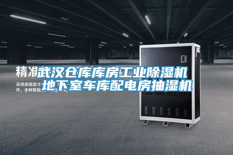 武漢倉庫庫房工業草莓污视频在线看 地下室車庫配電房抽濕機