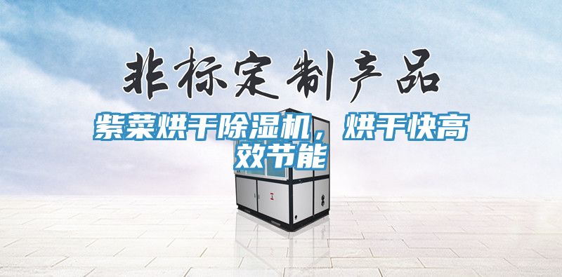 紫菜烘幹草莓污视频在线看，烘幹快高效節能