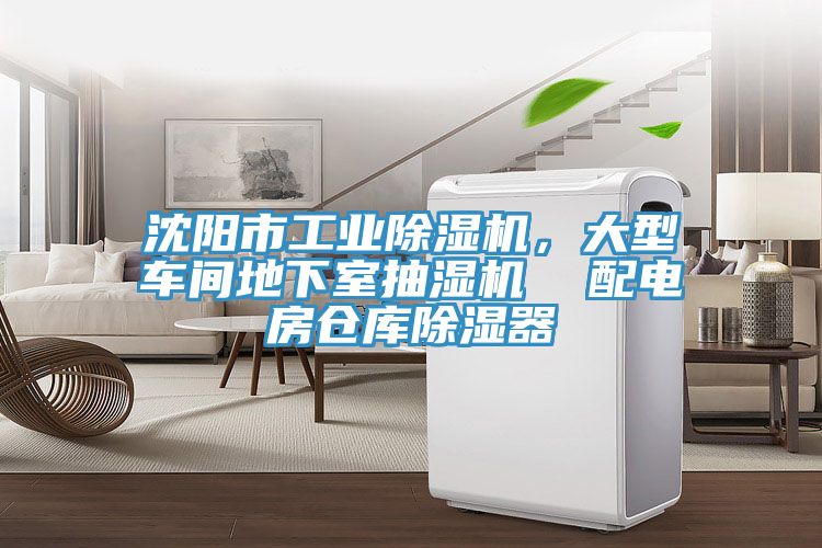 沈陽市工業草莓污视频在线看，大型車間地下室抽濕機  配電房倉庫除濕器