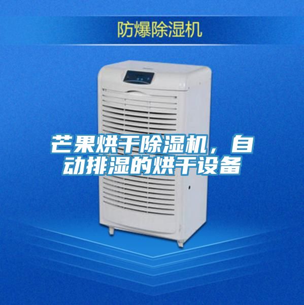 芒果烘幹草莓污视频在线看，自動排濕的烘幹設備