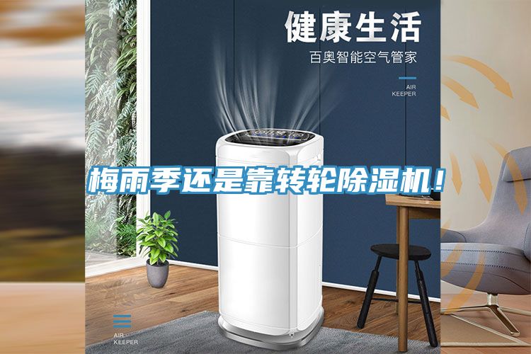 梅雨季還是靠轉輪草莓污视频在线看！