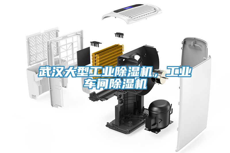 武漢大型工業草莓污视频在线看，工業車間草莓污视频在线看