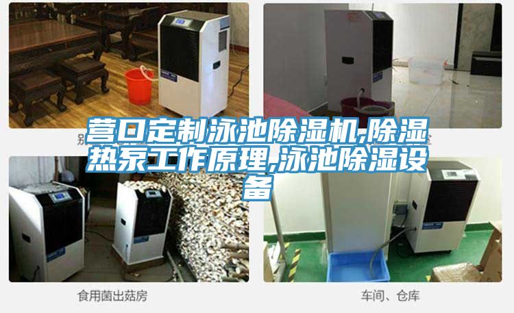 營口定製泳池草莓污视频在线看,除濕熱泵工作原理,泳池除濕設備