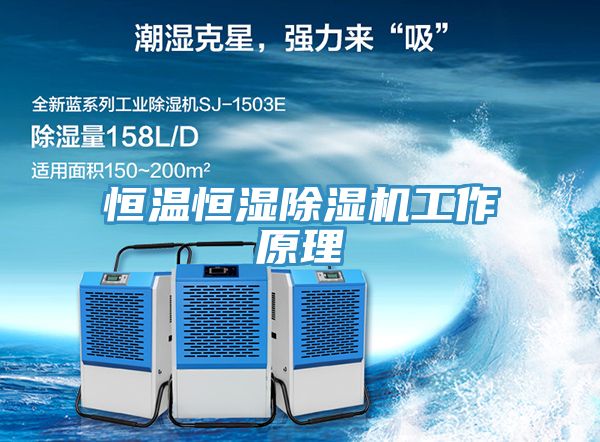 恒溫恒濕草莓污视频在线看工作原理