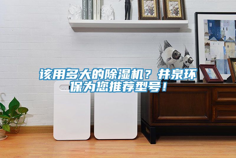 該用多大的草莓污视频在线看？井泉環保為您推薦型號！