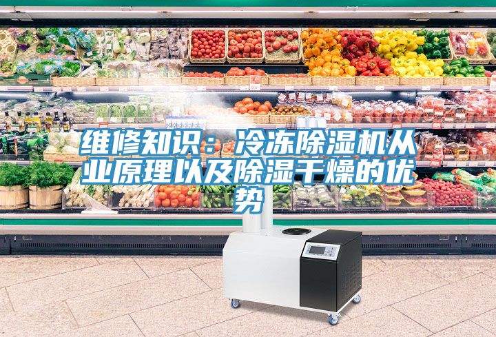 維修知識：冷凍草莓污视频在线看從業原理以及除濕幹燥的優勢