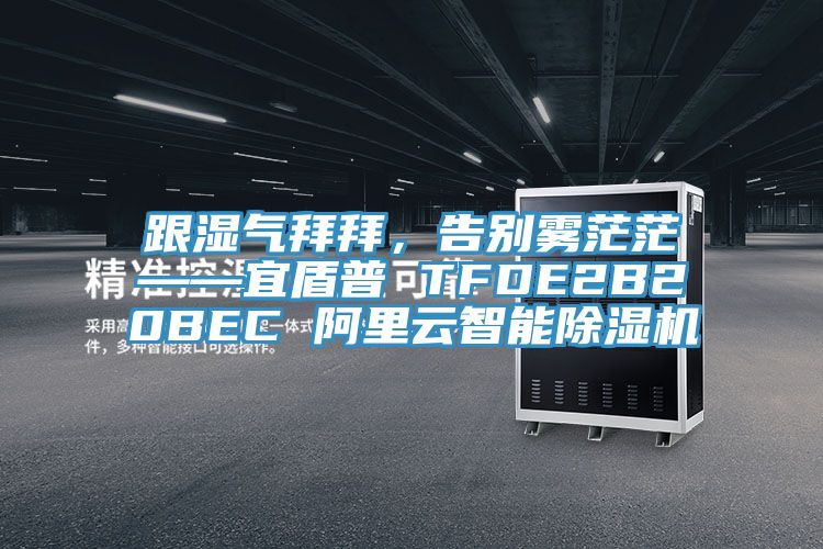 跟濕氣拜拜，告別霧茫茫——宜盾普 TFDE2B20BEC 阿裏雲智能草莓污视频在线看