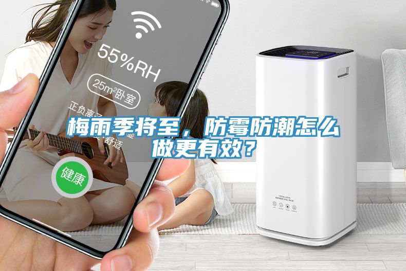 梅雨季將至，防黴防潮怎麽做更有效？