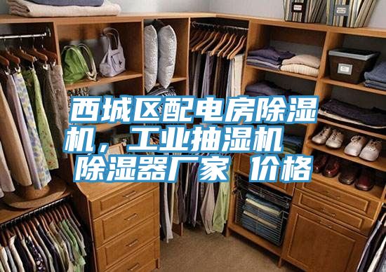 西城區配電房草莓污视频在线看，工業抽濕機  除濕器廠家 價格