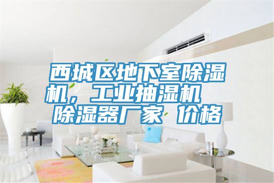 西城區地下室草莓污视频在线看，工業抽濕機  除濕器廠家 價格