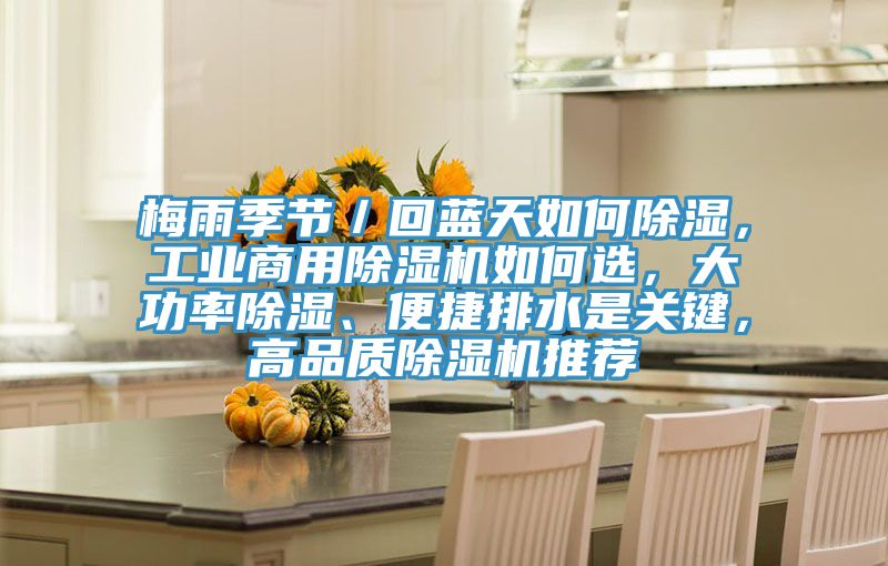 梅雨季節／回藍天如何除濕，工業商用草莓污视频在线看如何選，大功率除濕、便捷排水是關鍵，高品質草莓污视频在线看推薦