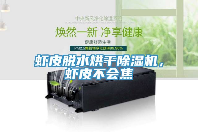 蝦皮脫水烘幹草莓污视频在线看，蝦皮不會焦