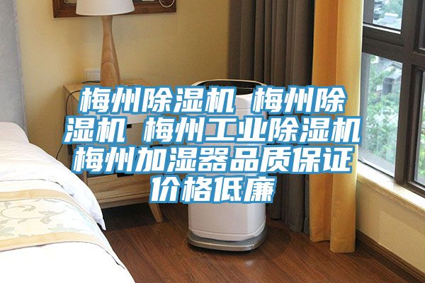 梅州草莓污视频在线看☆梅州草莓污视频在线看☆梅州工業草莓污视频在线看☆梅州加濕器品質保證價格低廉
