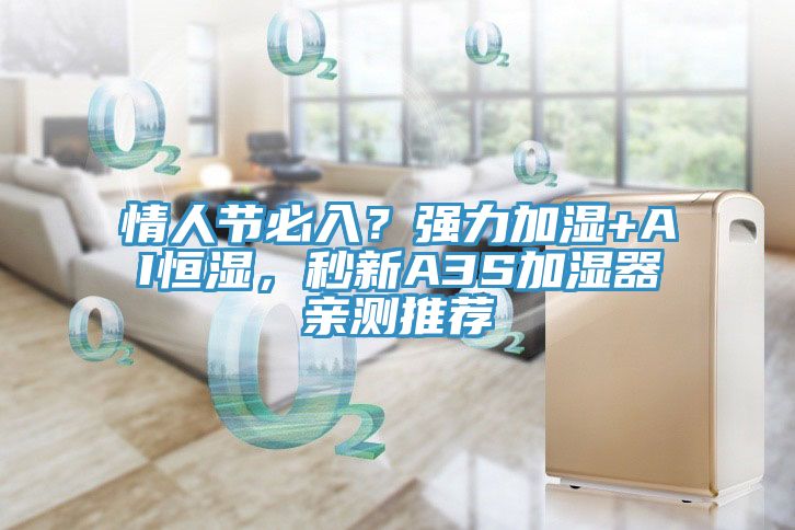 情人節必入？強力加濕+AI恒濕，秒新A3S加濕器親測推薦