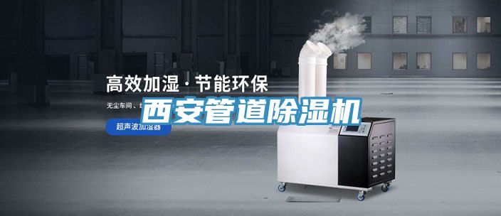 西安管道草莓污视频在线看