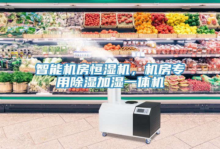 智能機房恒濕機，機房專用除濕加濕一體機