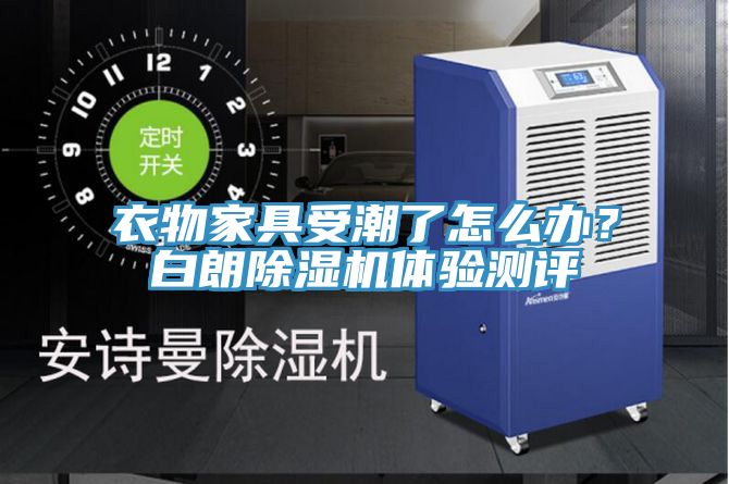 衣物家具受潮了怎麽辦？白朗草莓污视频在线看體驗測評