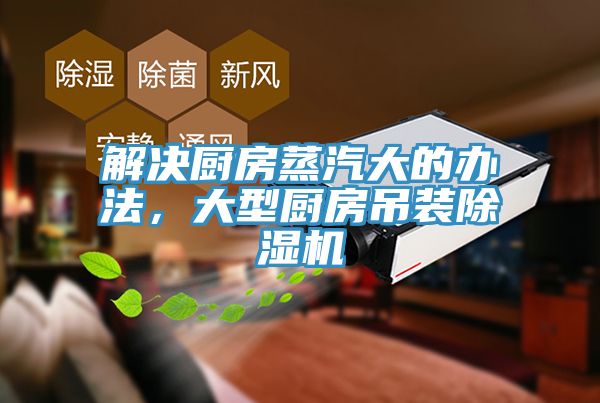 解決廚房蒸汽大的辦法，大型廚房吊裝草莓污视频在线看