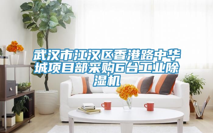 武漢市江漢區香港路中華城項目部采購6台工業草莓污视频在线看