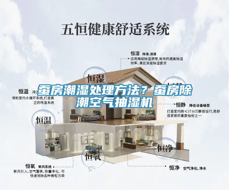 蠶房潮濕處理方法？蠶房除潮空氣抽濕機